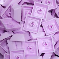 dsa_pbt_1u_ltpurp
